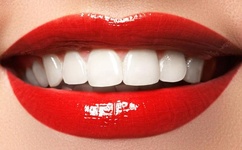 雨宿公交车站第2集樱花